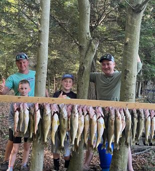 Lake Erie Fishing, Walleye